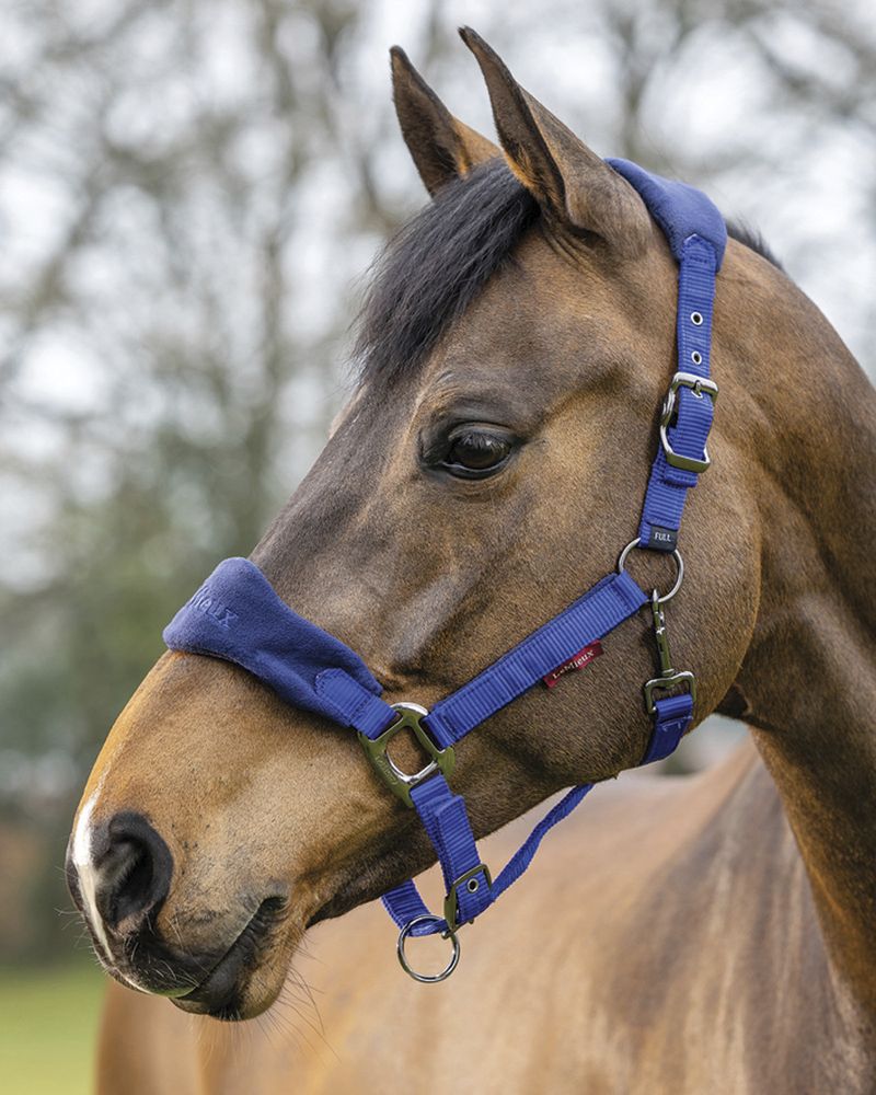 LeMieux Vouge Halter with Lead Rope
