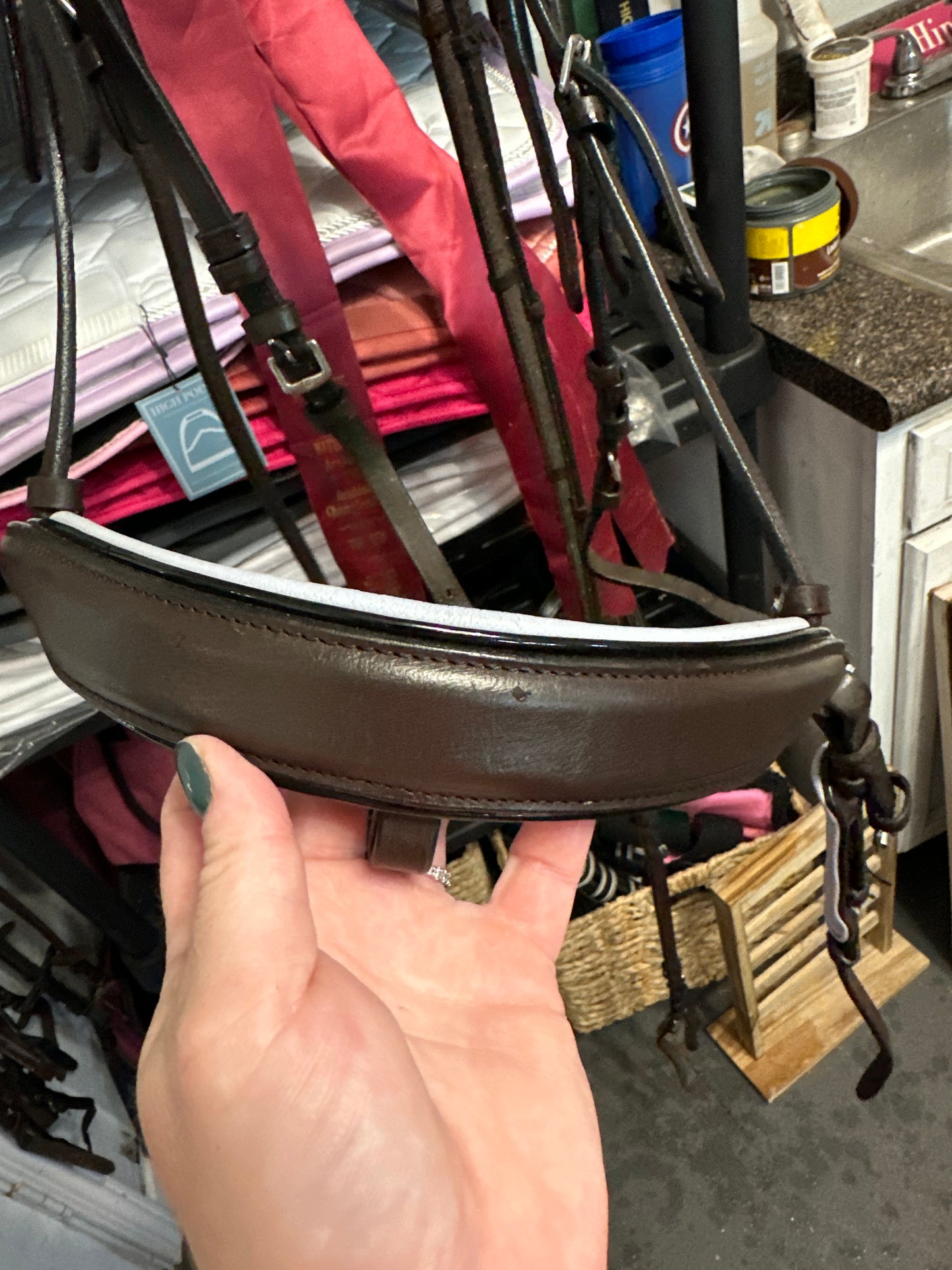 Consignment Halter Ego Bridle Cob