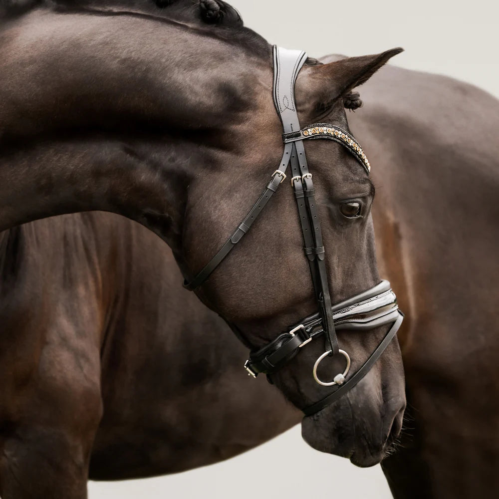 Lumiere Ariana bridle