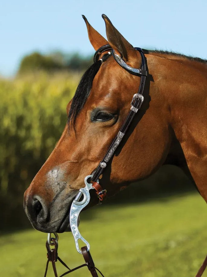 SS Tack Western Show Headstall