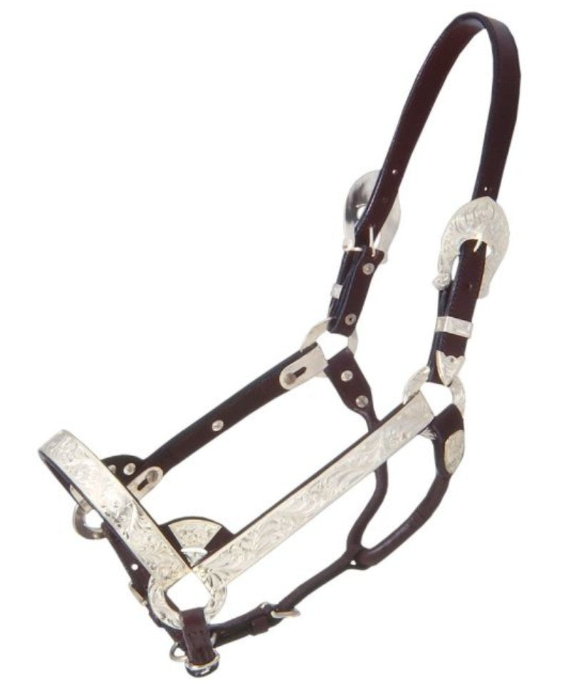 Royal King Deluxe Show Halter