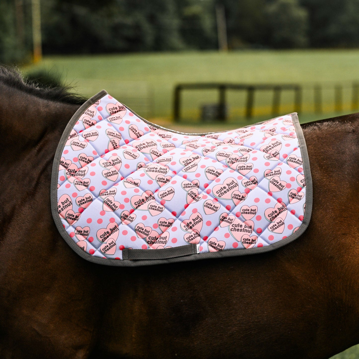 Dreamers & Schemers Saddle Pads