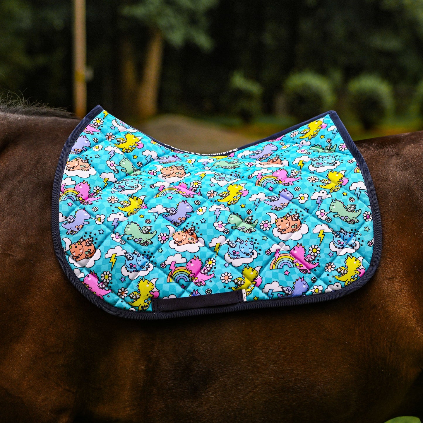 Dreamers & Schemers Saddle Pads