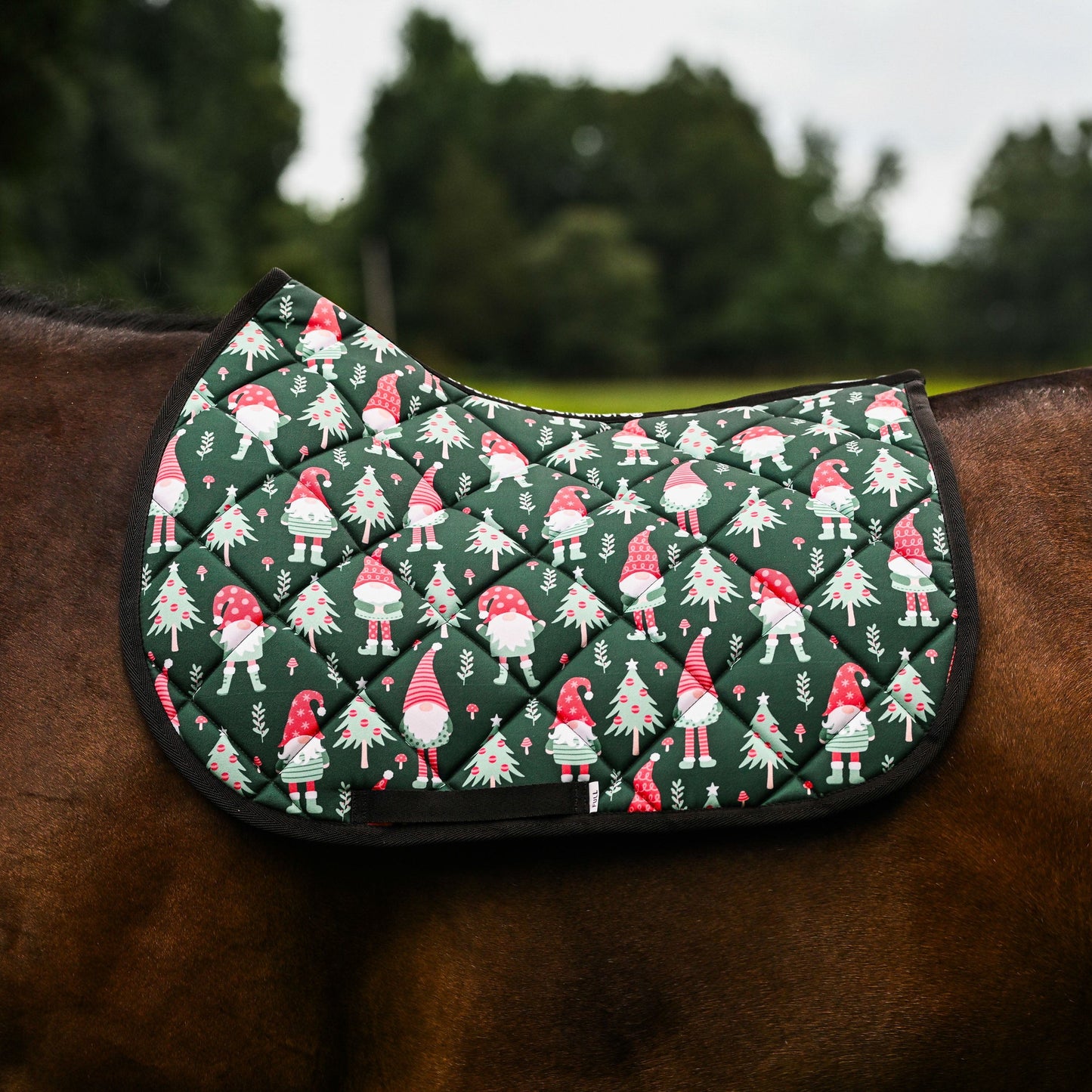Dreamers & Schemers Saddle Pads