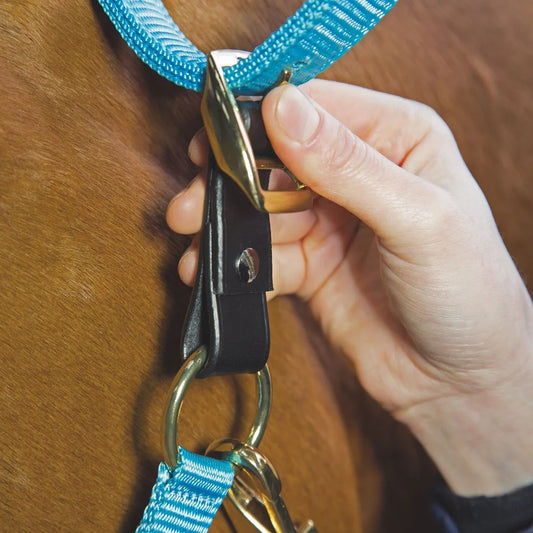 Shires Halter Breakaway Replacement
