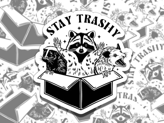 Stay Trashy Cute Raccoon Trash Can Colorful  Vinyl Sticker,