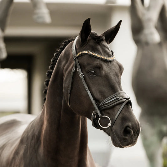 Lumiere Ariana bridle