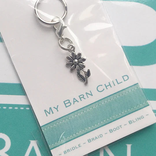Bridle Charms