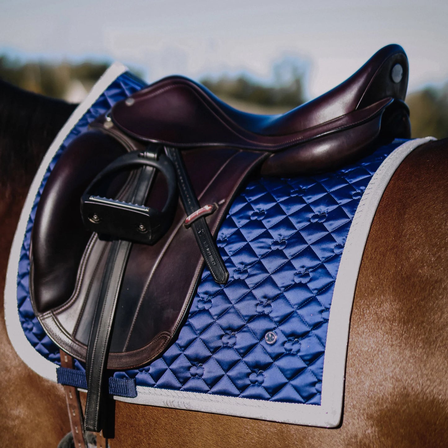 DB Dressage Pad